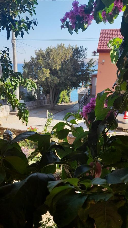 Apartmani Ivankovic Karlobag Ruang foto